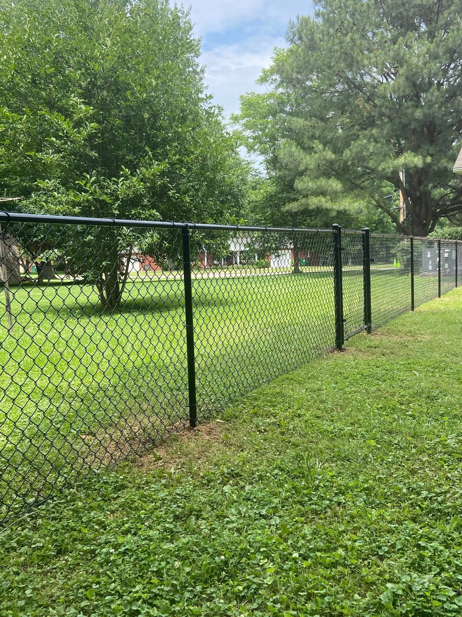 Black chain-link fence in a grassy yard, with trees in the background under a blue sky.