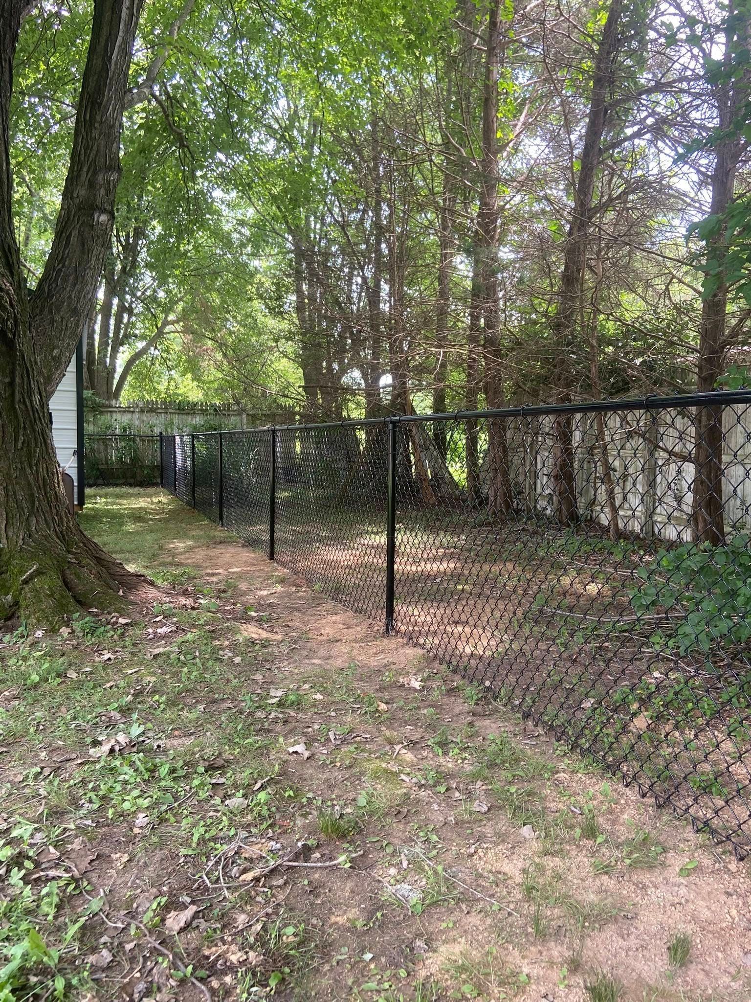 Black chain-link fence in a backyard, surrounded by trees and foliage.