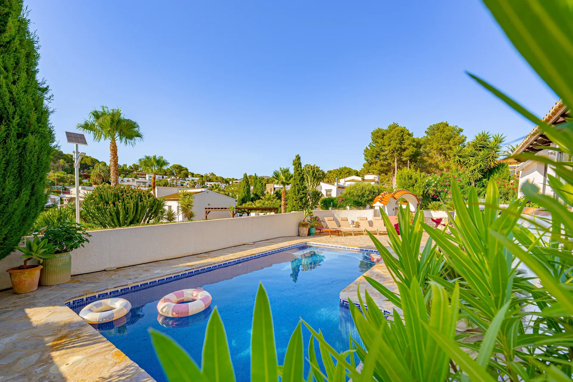 Zwembad van Villa Fio met palmbomen, ligbedden en mediterrane tuin