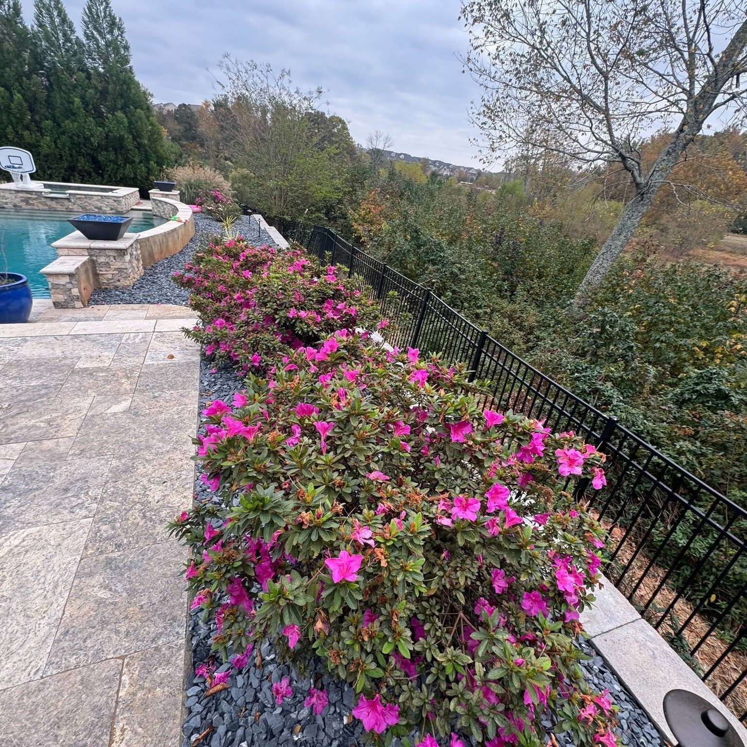 Bright pink azaleas bloom along a stone patio with a pool, overlooking a tree-filled landscape.