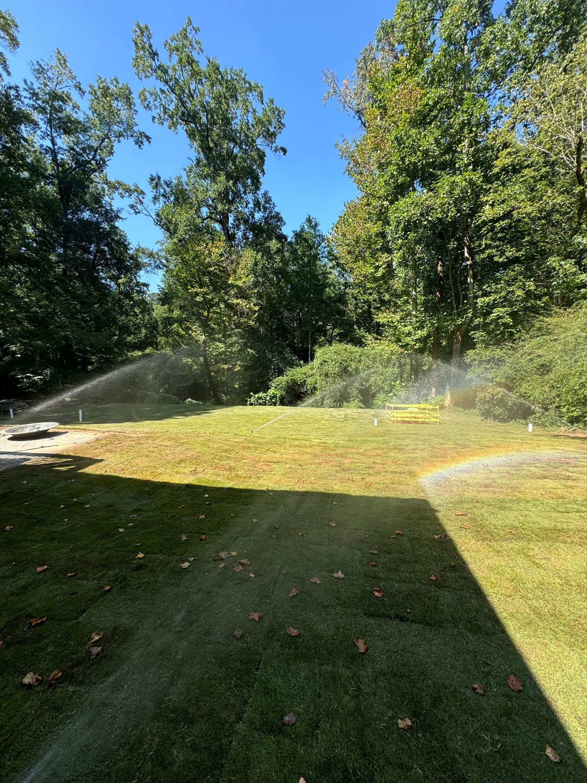 Sprinklers watering a patchy green lawn in a backyard, with trees in the background under a blue sky.