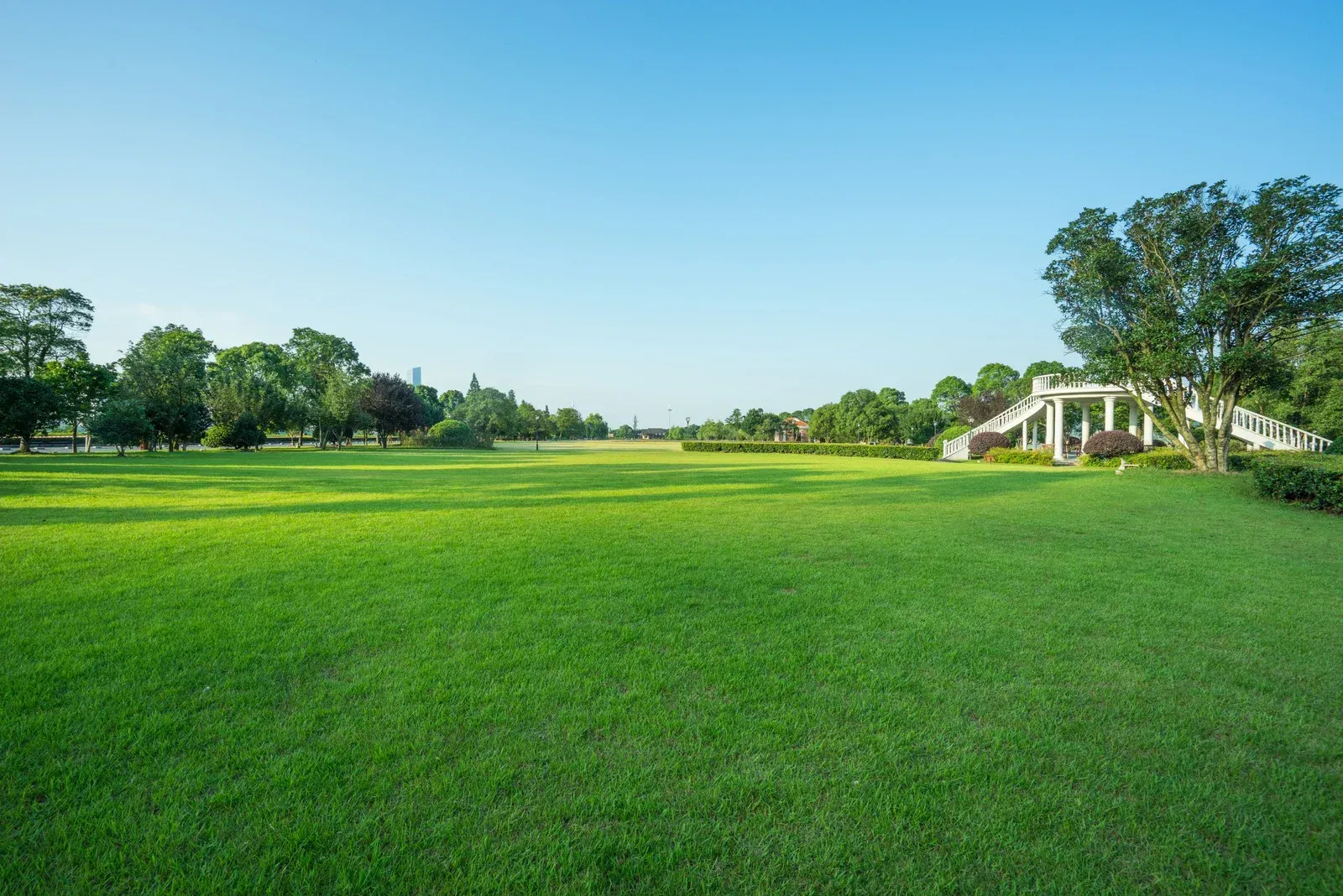 Lush green lawn under a clear blue sky, with trees and a white structure in the distance.