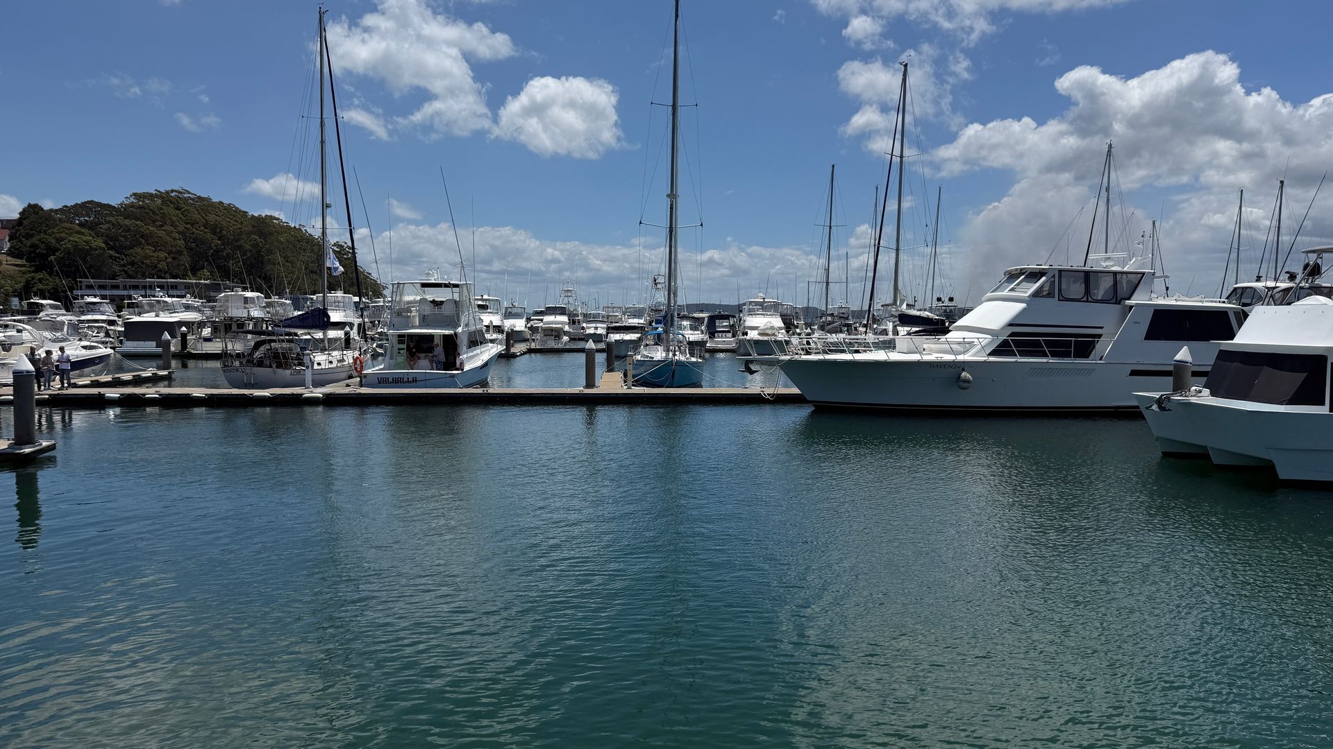 Marina Filled with Boats, Ocean View, Sunlit Coast with Buildings and Green Hills — YKnot Cruises in Newcastle, NSW