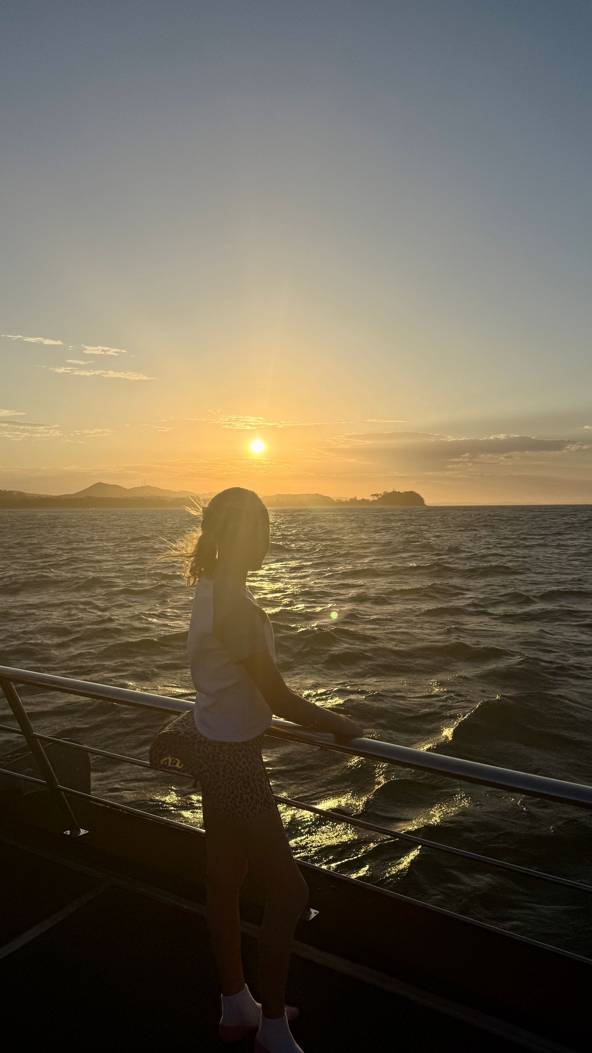 Built-In Bench with Blue Cushions and Dolphin Mosaic Base — YKnot Cruises in Nelson Bay, NSW