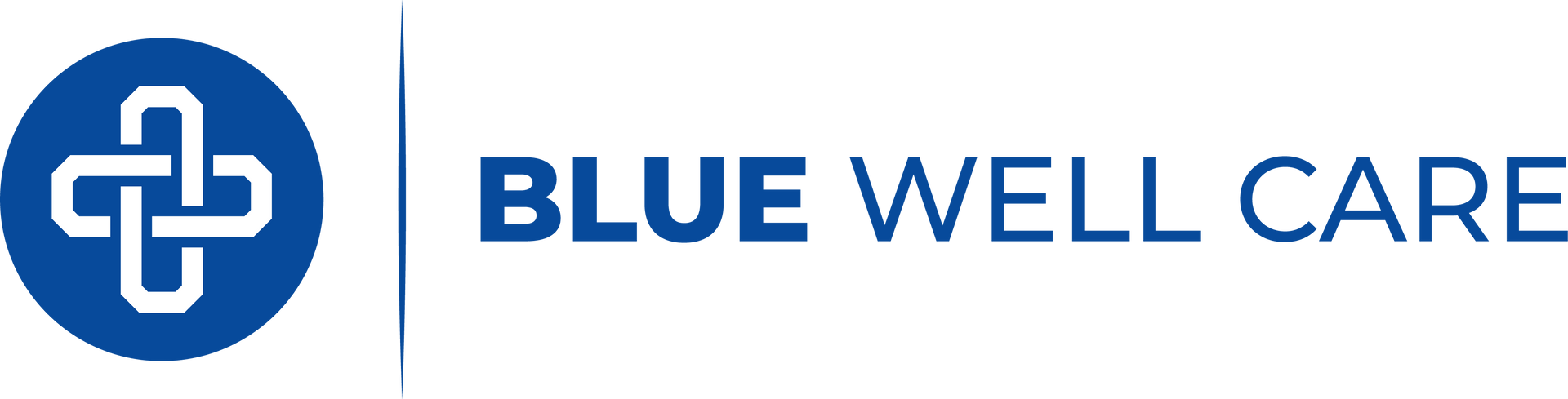 Logo for Blue Well Care: A white intertwined cross symbol inside a blue circle, beside the text