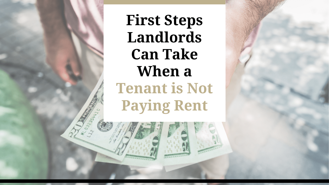 First Steps Landlords Can Take When a Tenant is Not Paying Rent - Article Banner