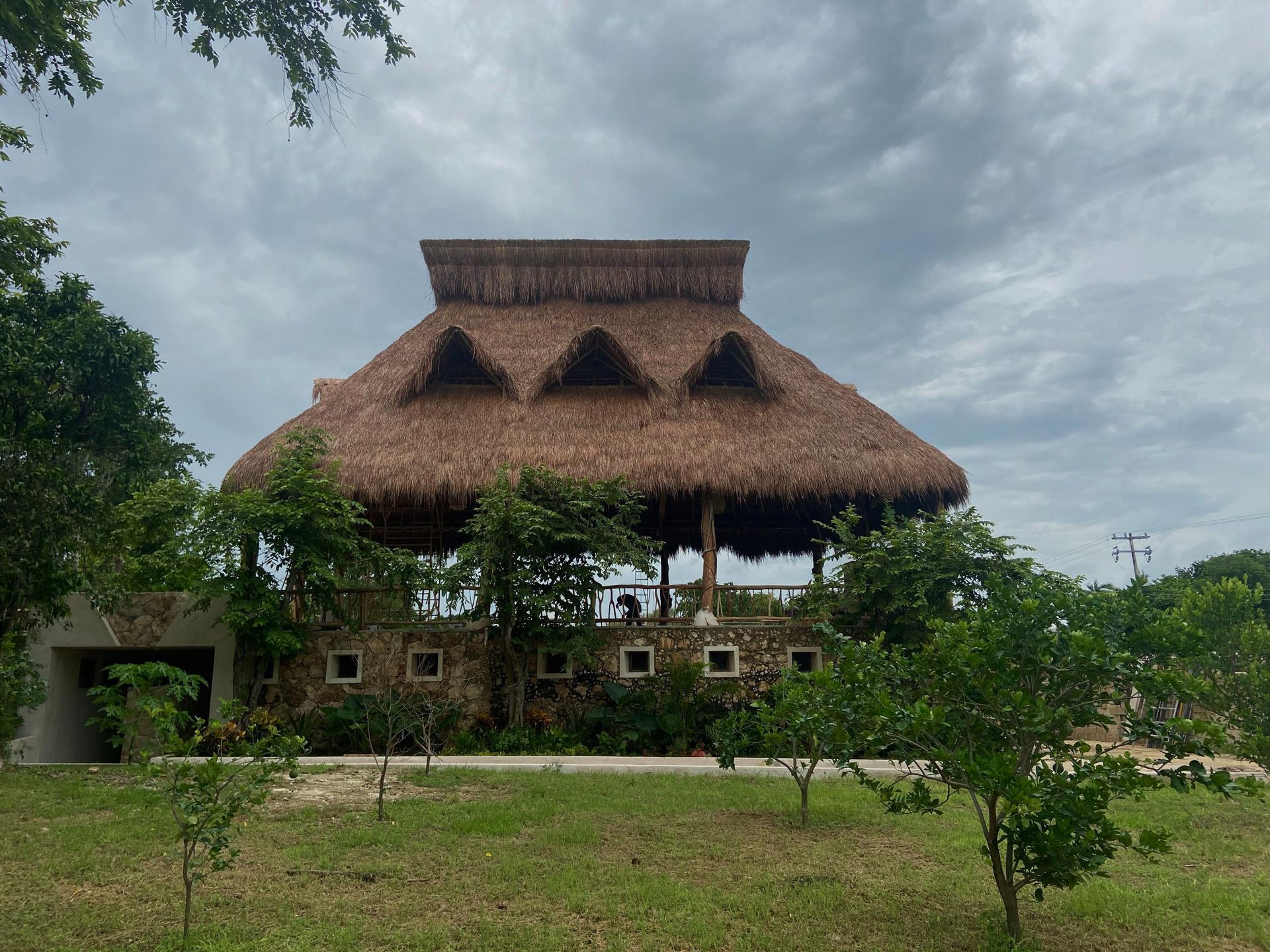 A house with a thatched roof is surrounded by trees and grass.