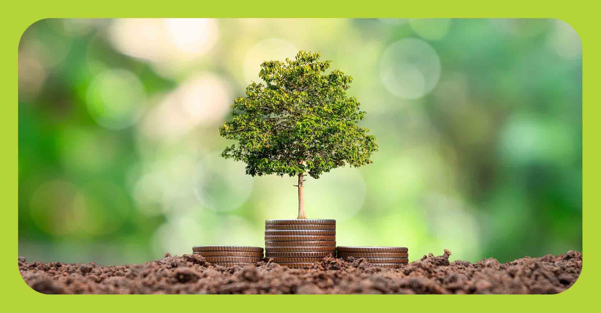 Image of a tree growing out of stacks of change
