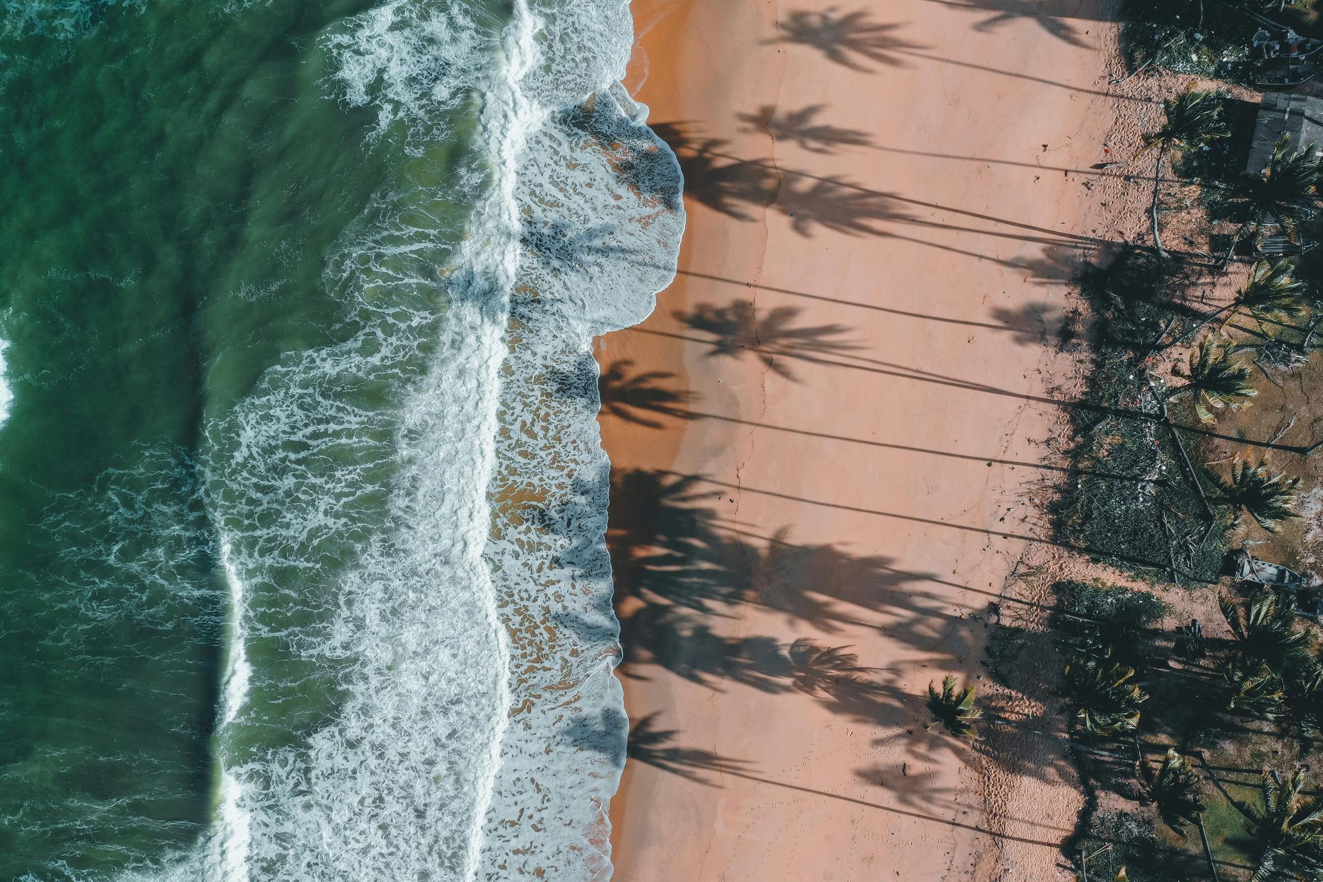 Coastal Tour