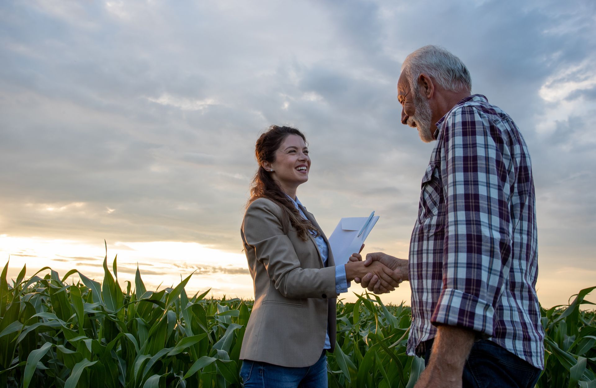 A man and a woman are shaking hands in a corn field.