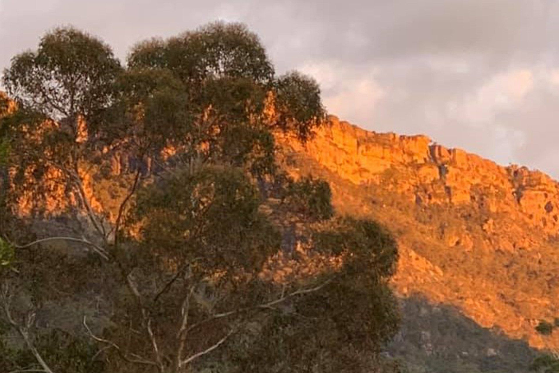 Stay at Halls Gap Valley Lodges. Enjoy the mountain views.