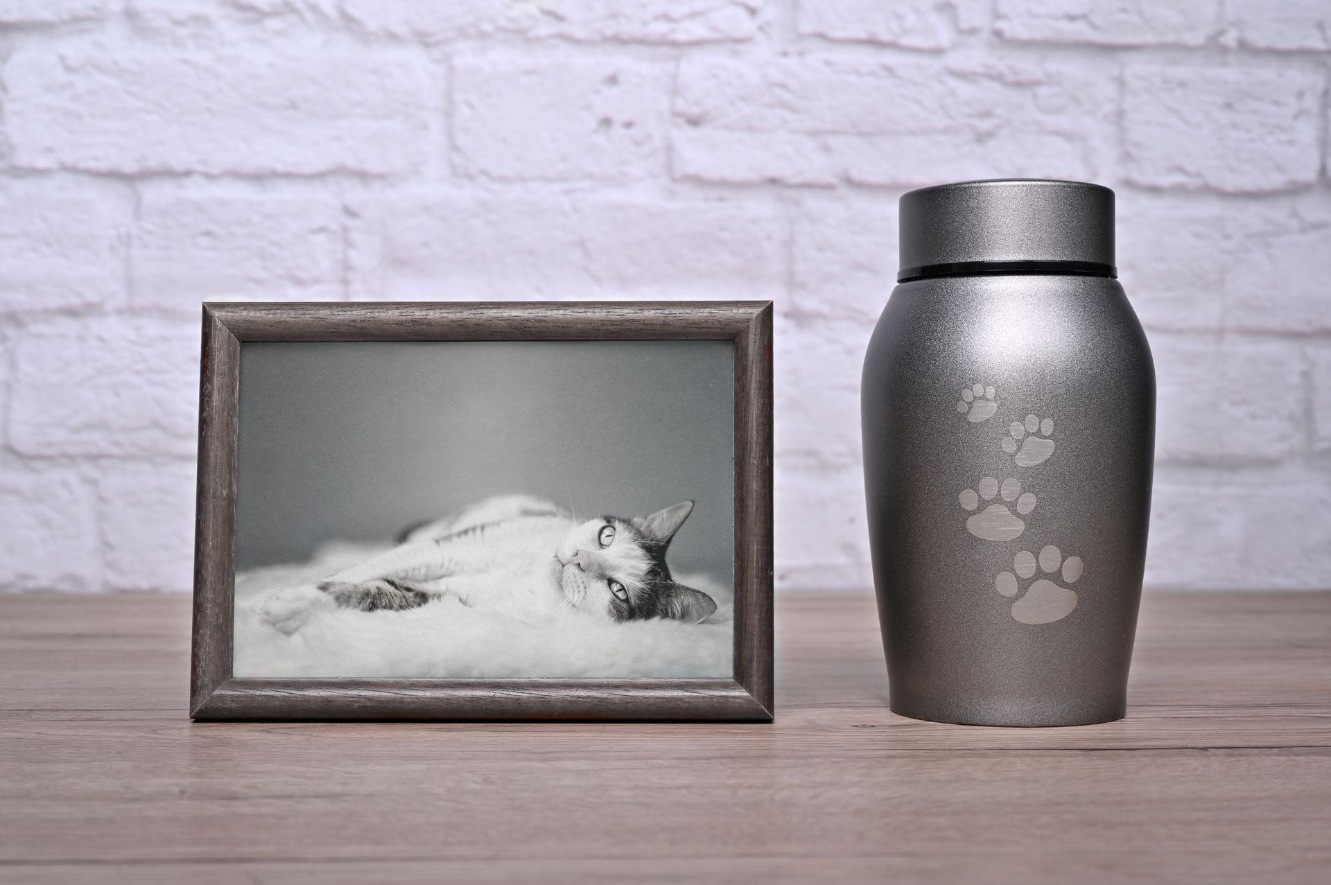 A cremated cat in an urn.