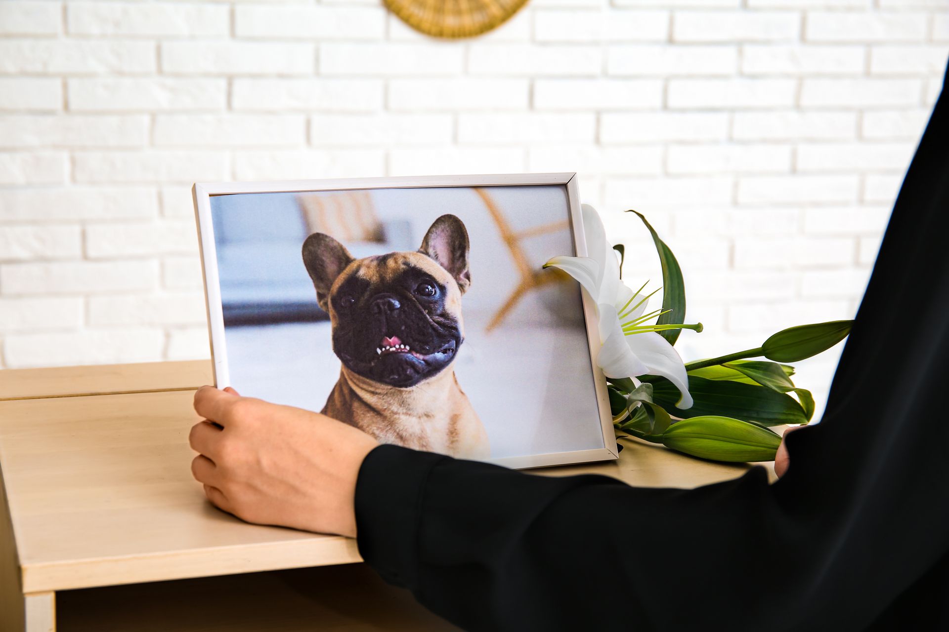 Hands holding a framed dog photo beside lilies during a pet funeral service on a wooden table Hands holding a framed dog photo beside lilies during a pet funeral service on a wooden table