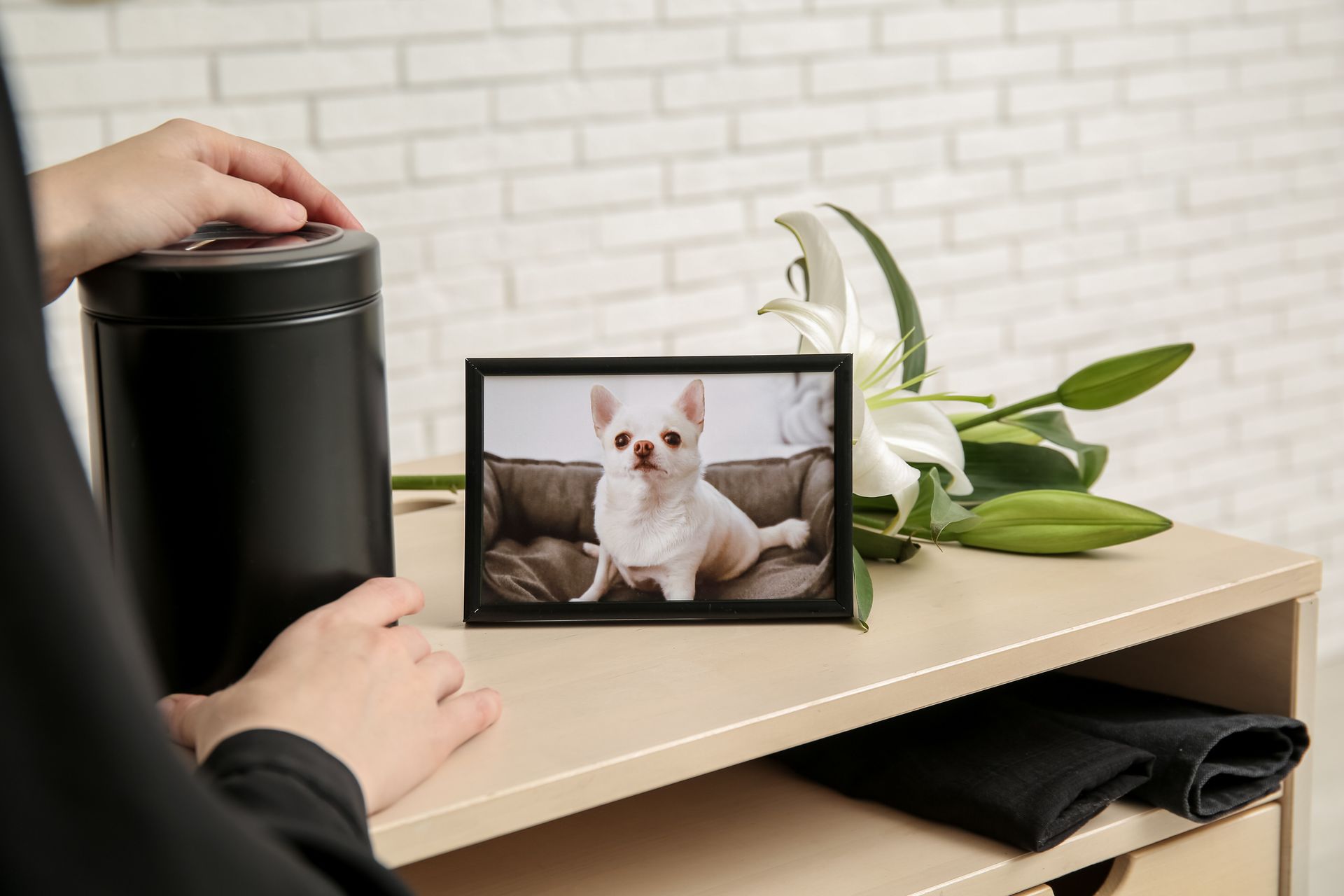 Person placing a pet memorial urn on a table beside a framed dog photo. Person placing a pet memorial urn on a table beside a framed dog photo.