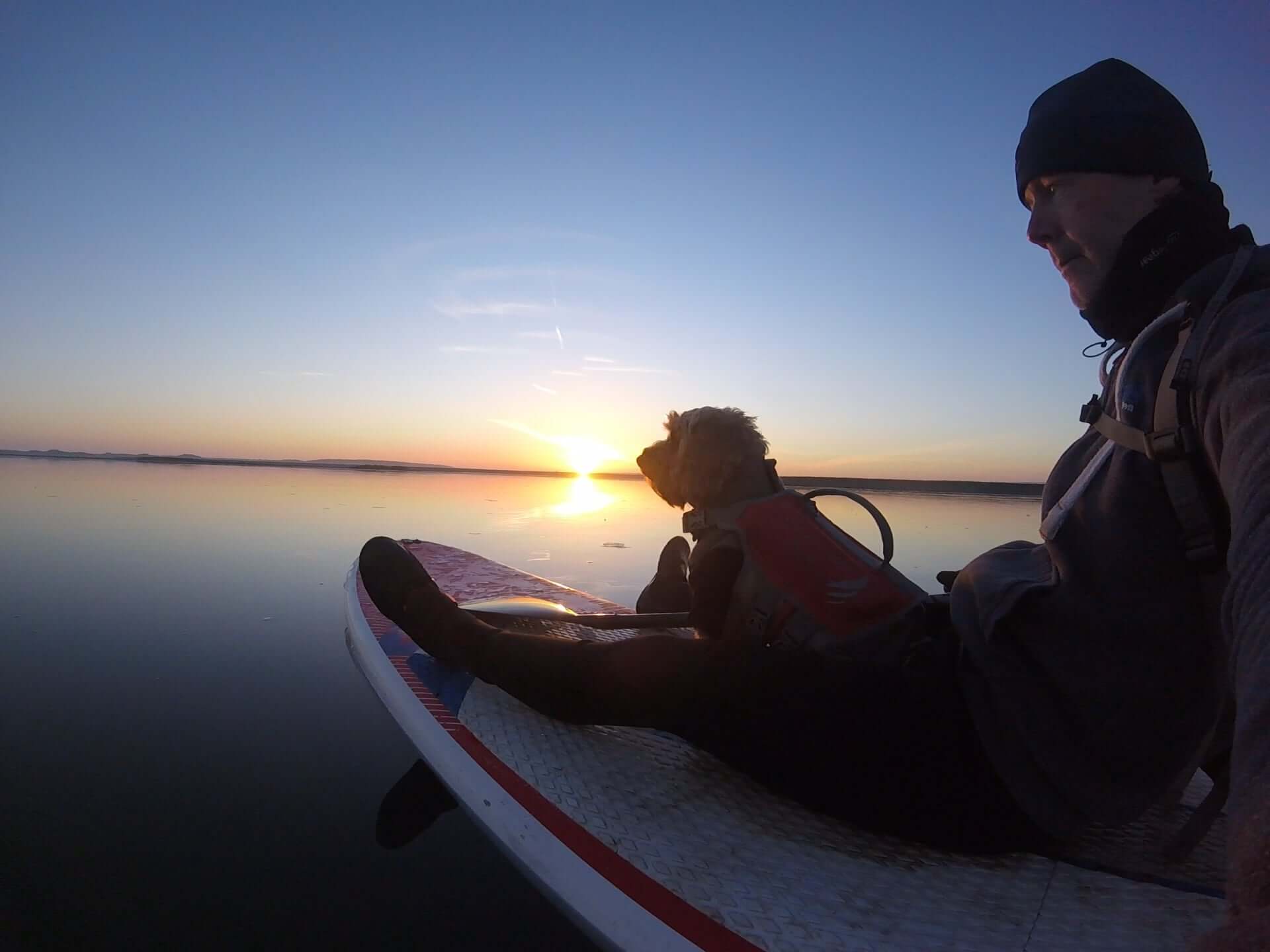 Sun rise Paddle boarding Norfolk Coast with my dog
