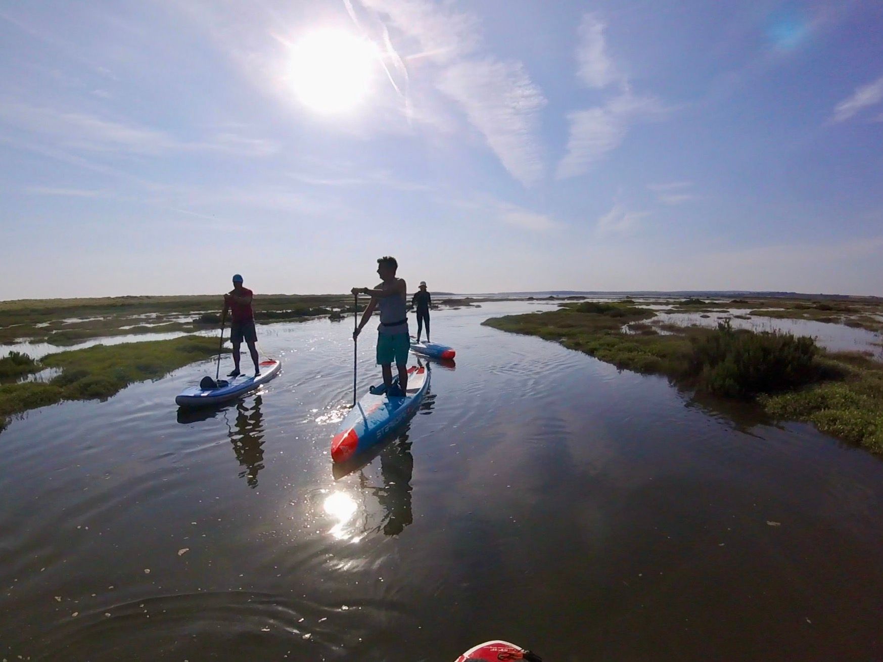 Guided salt marsh tour paddle boarding