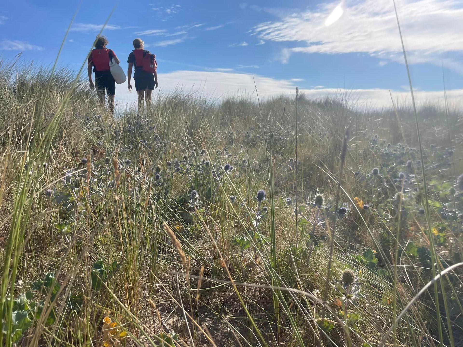 Scolt head island sand dunes