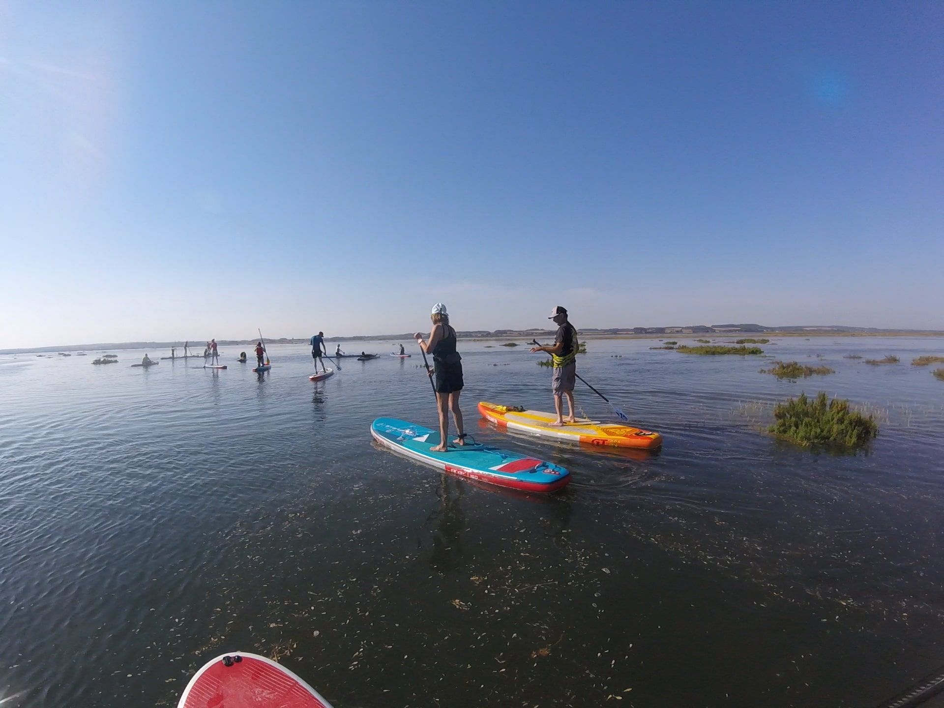 Scolt head island paddle boarding tour