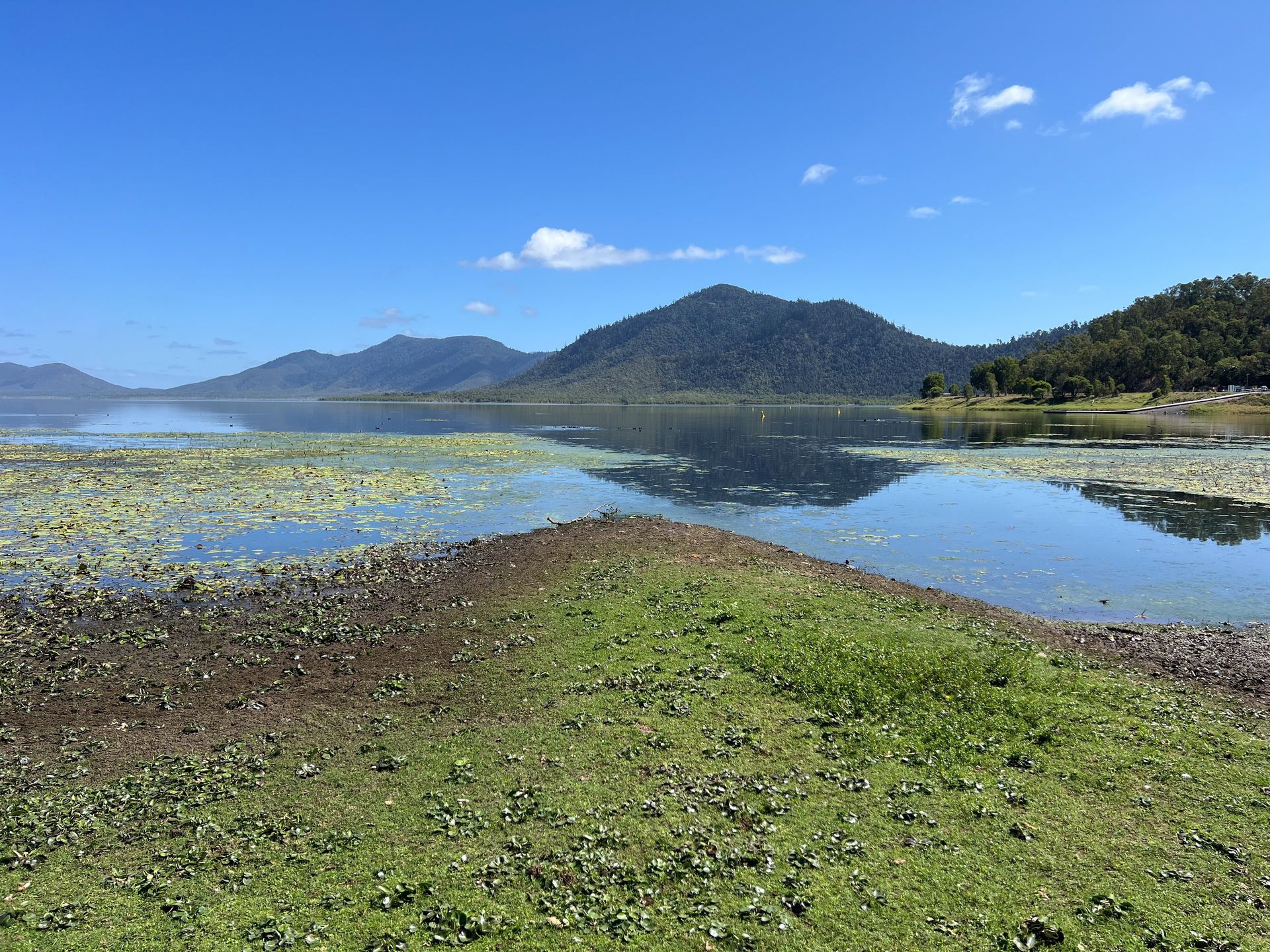 Lake with mountains in the background, blue sky, water, and green vegetation in the foreground — DAB Services in Cannonvale, QLD