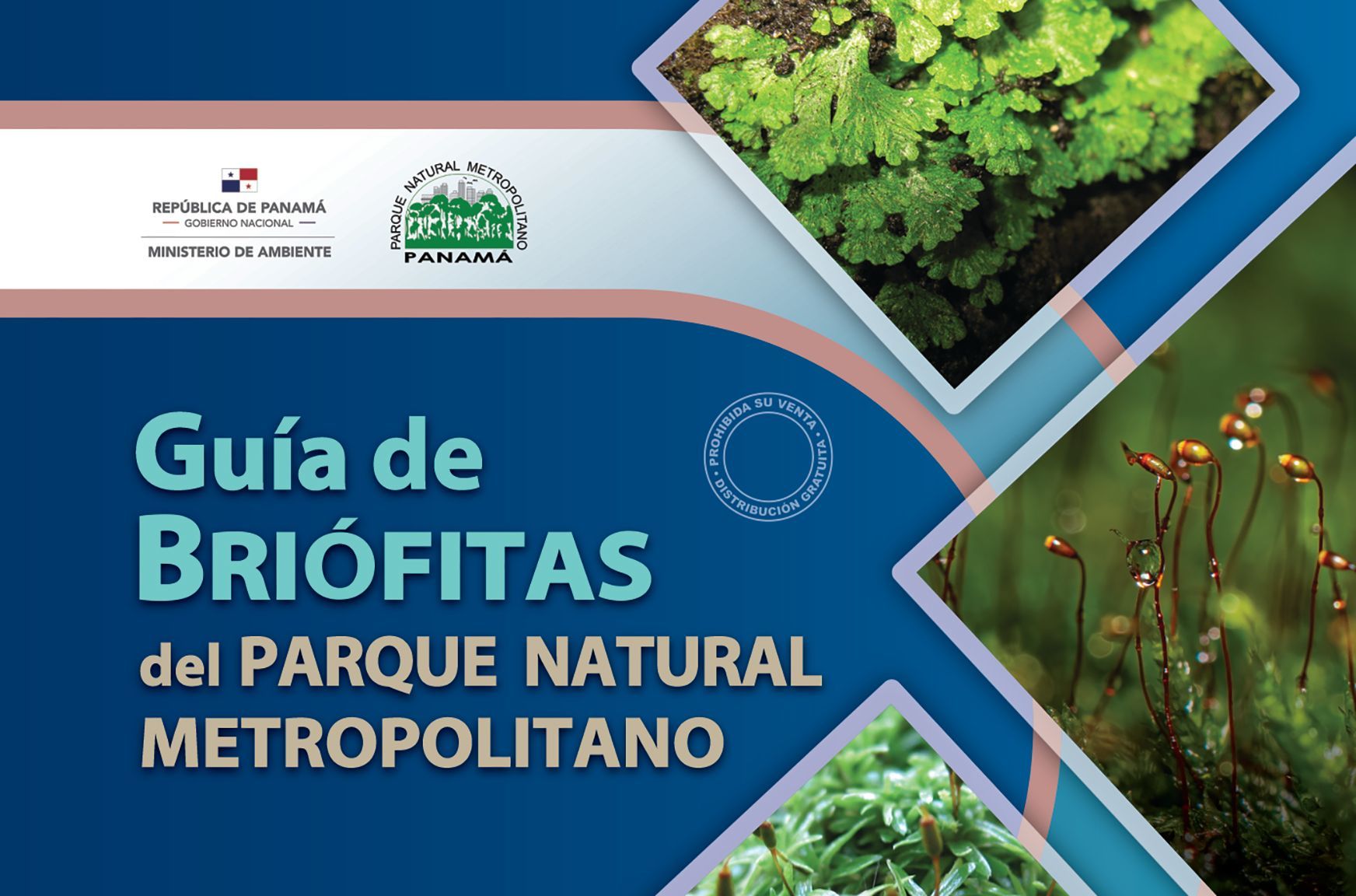 Briofitas PNM