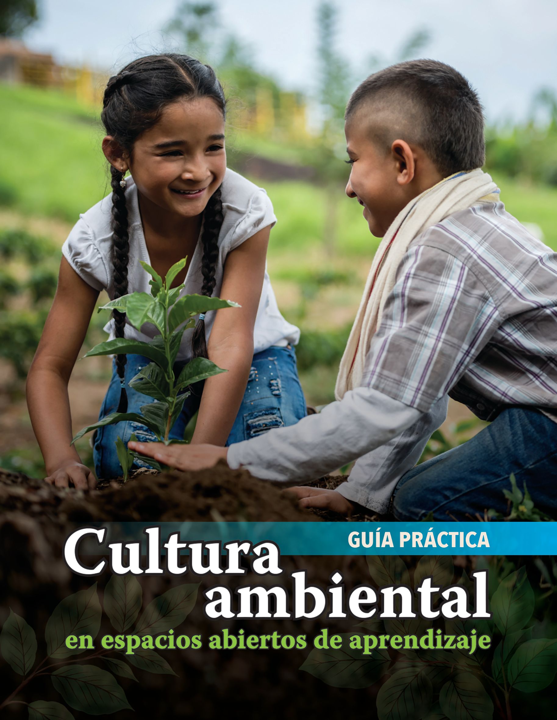Cultura ambiental