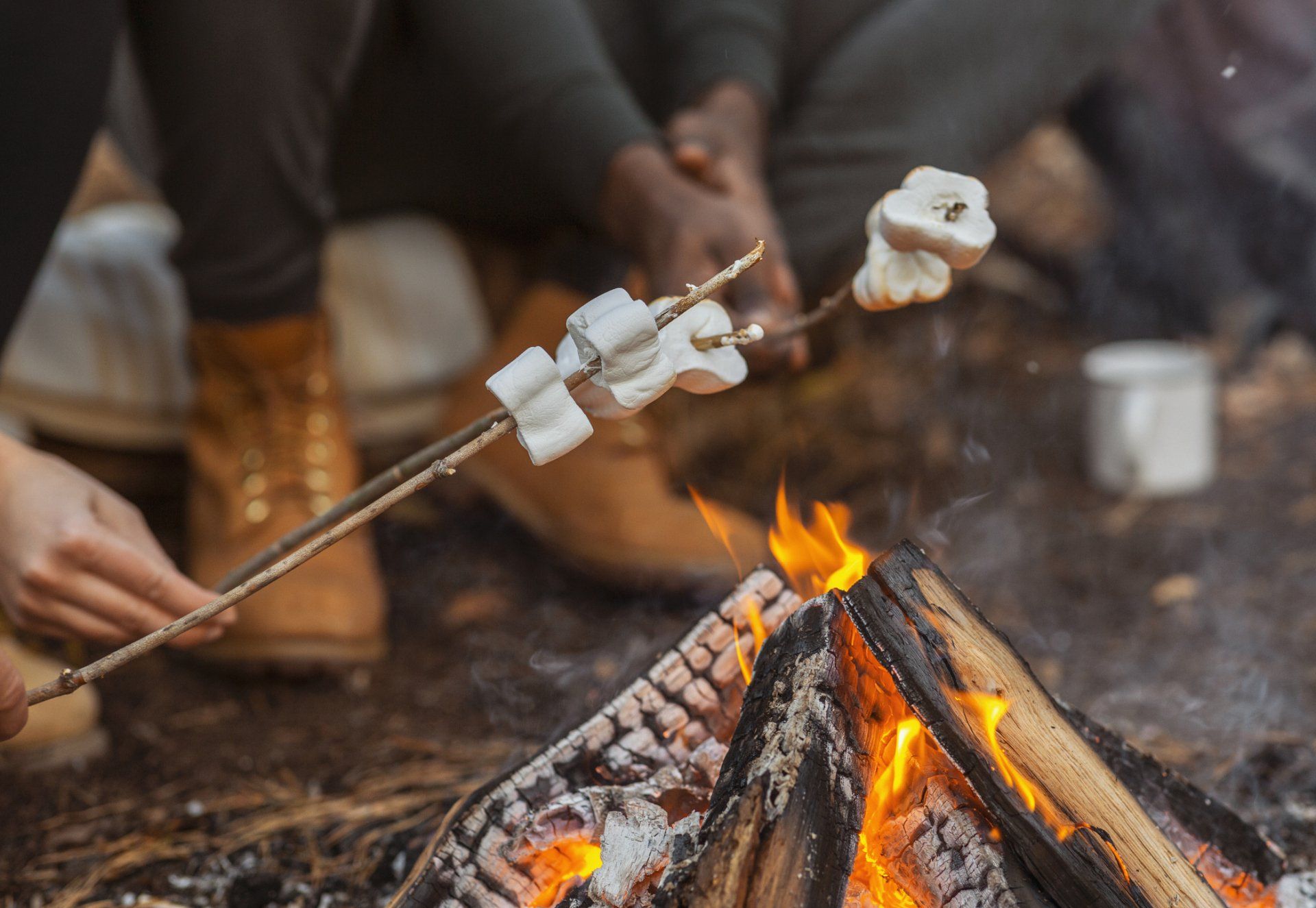 Marshmallow Cooking — Goodrich, MI — Firewood & Coal Sales