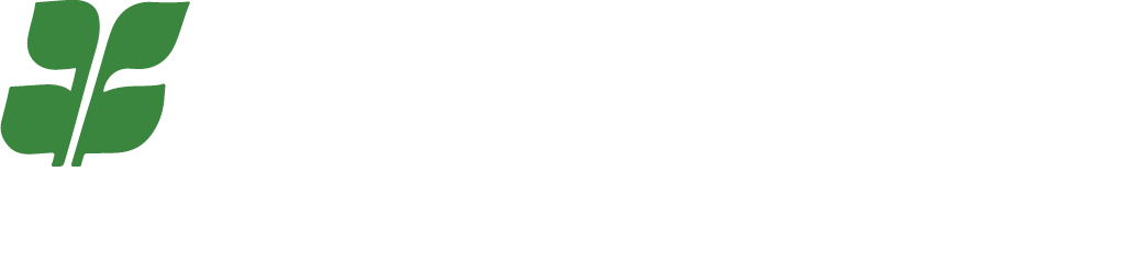 A green leaf is floating in the air on a white background.