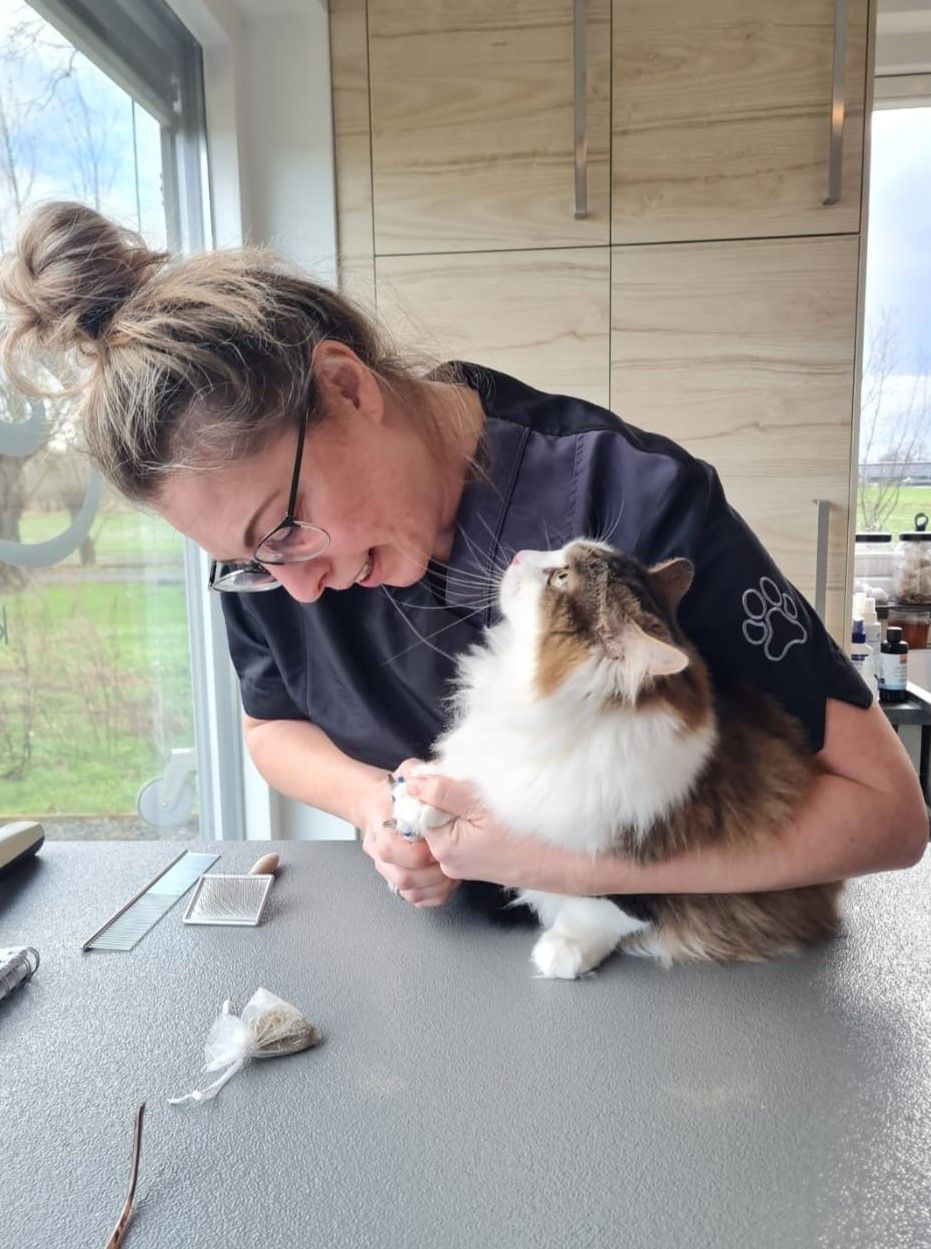 Naast kattentrimmer ben ik ook voedingsexpert en gedragstherapeut voor katten.