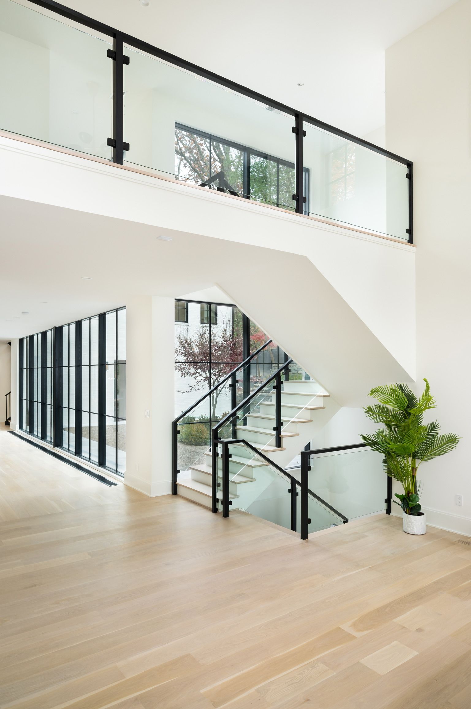 A staircase with a glass railing and a plant on the floor.