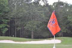 An orange flag with the letter a on it is on a golf course