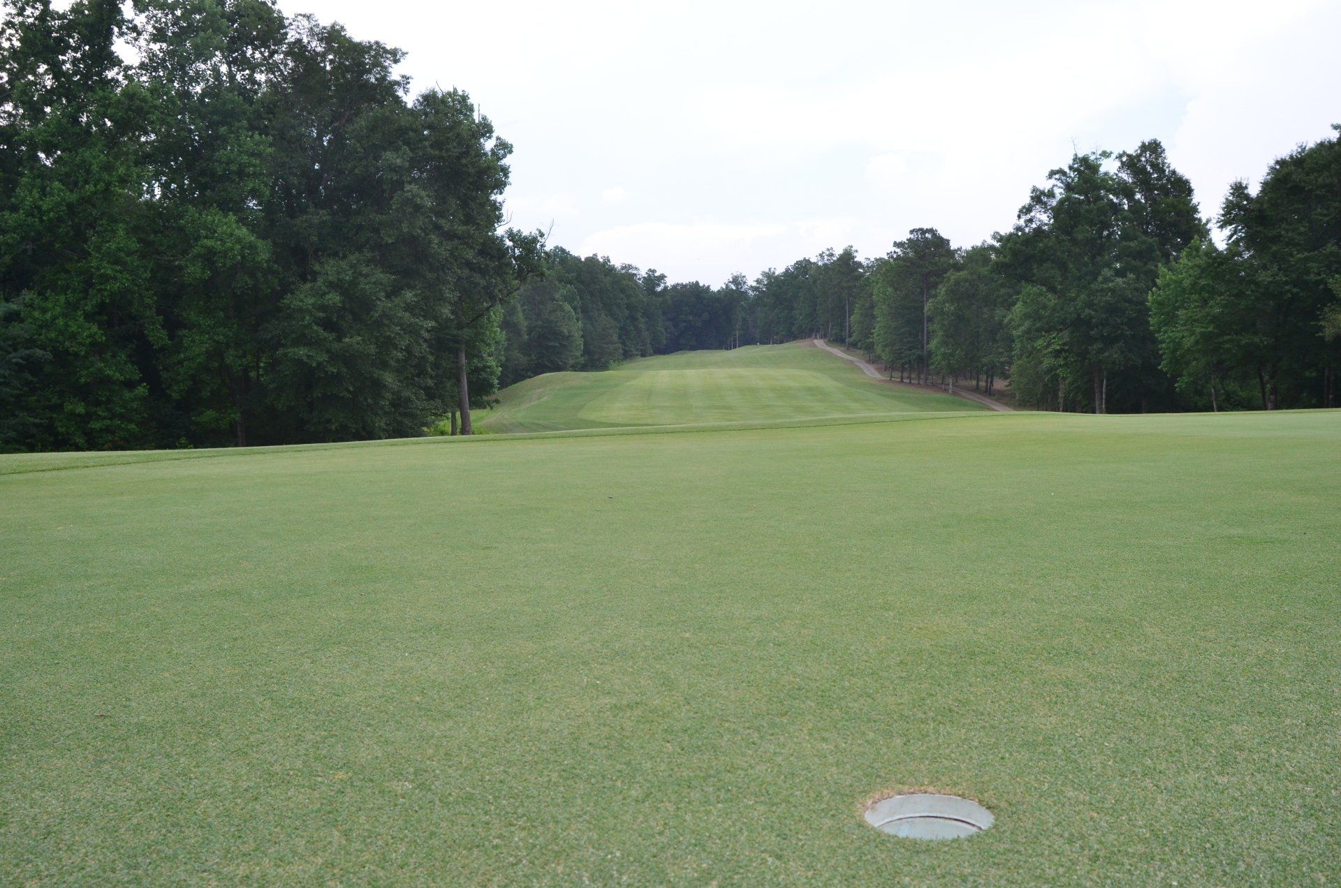 A golf course with a hole in the middle of it