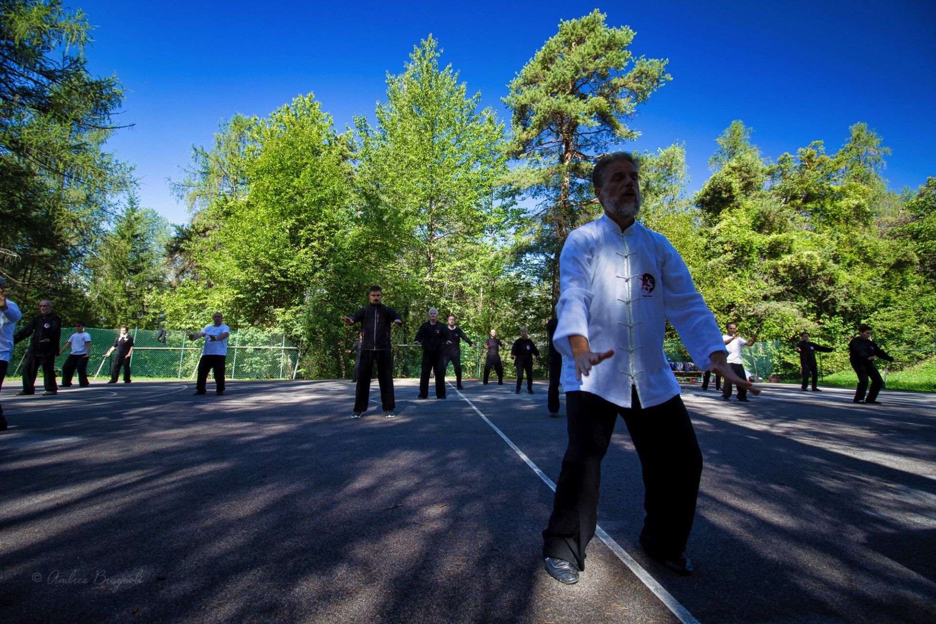 Un gruppo di persone pratica le arti marziali in un parco.