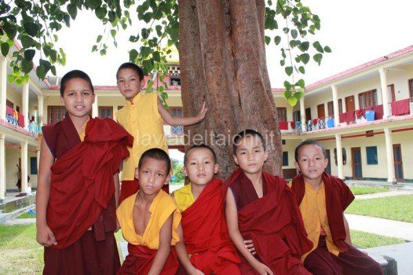 Un gruppo di giovani monaci è seduto sotto un albero