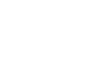 Blank white background.