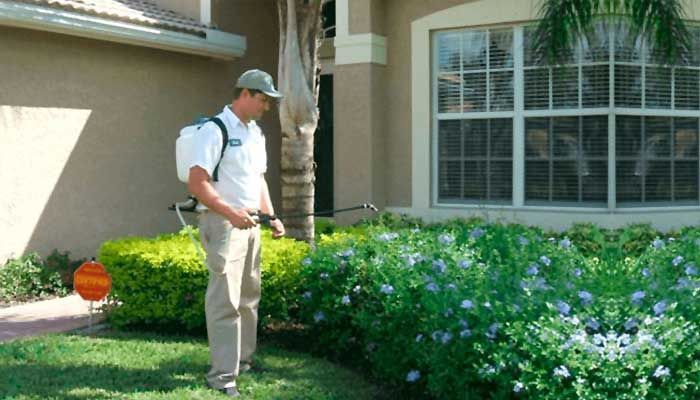 VECTOR FUMIGACIONES - Control de plagas