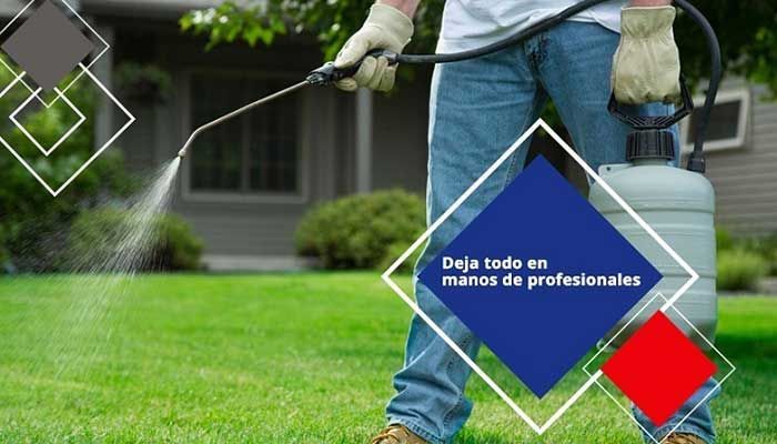 VECTOR FUMIGACIONES - Fumigación de casas