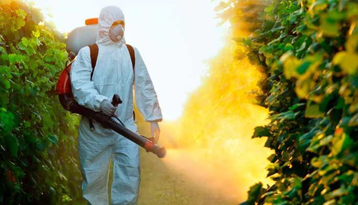 VECTOR FUMIGACIONES - Fumigación de jardines