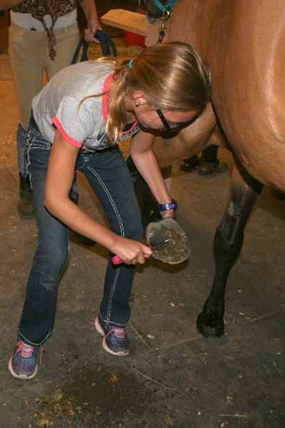 A young girl is cleaning a horse 's hoof with a brush.