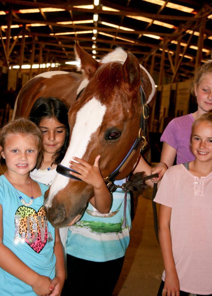 A group of young girls petting a brown and white horse