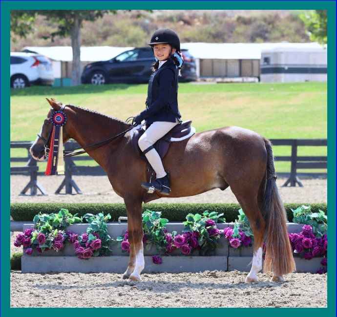 A young girl is riding on the back of a brown horse