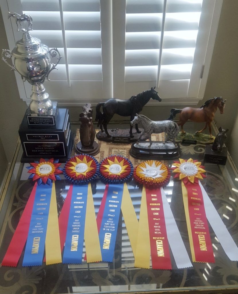 A table with trophies and ribbons on it