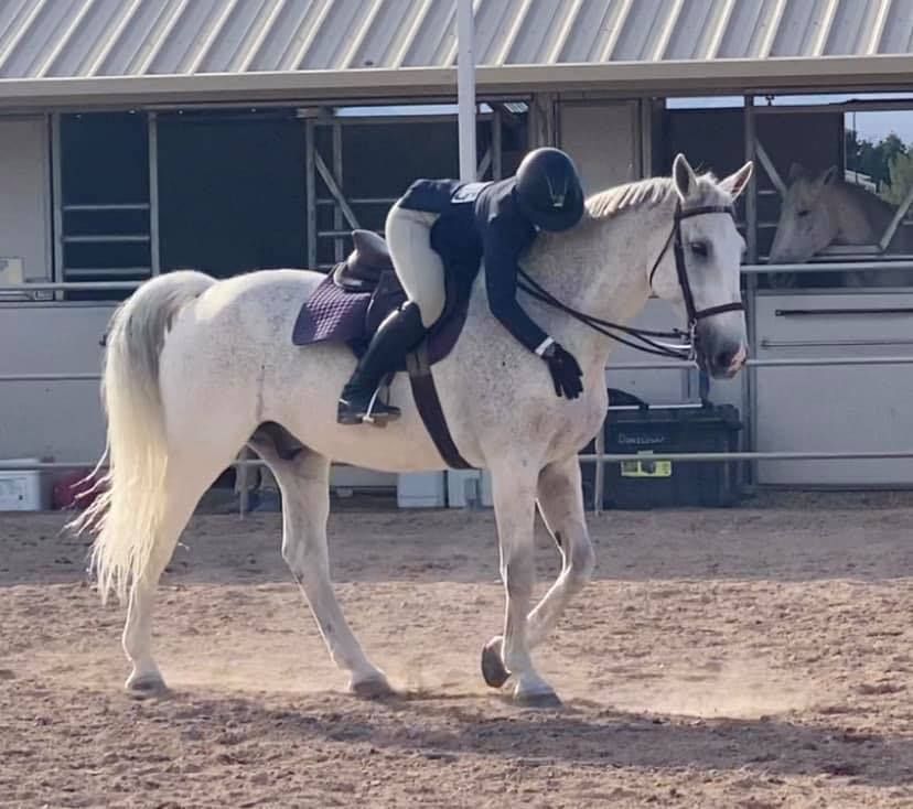 A person riding on the back of a white horse