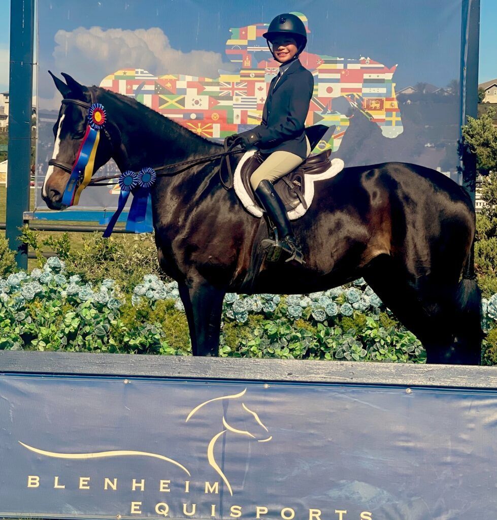 A woman is riding a black horse in front of a blenheim equestrian sign