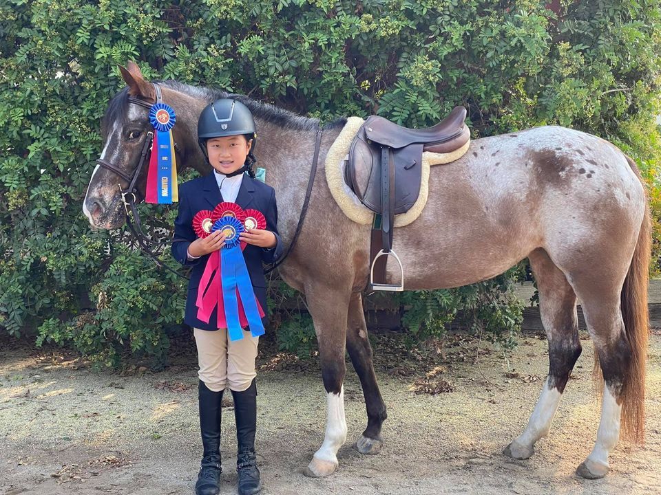 A young girl is standing next to a horse holding a ribbon.