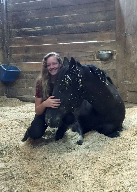 A woman is kneeling down next to a black horse in a stable.