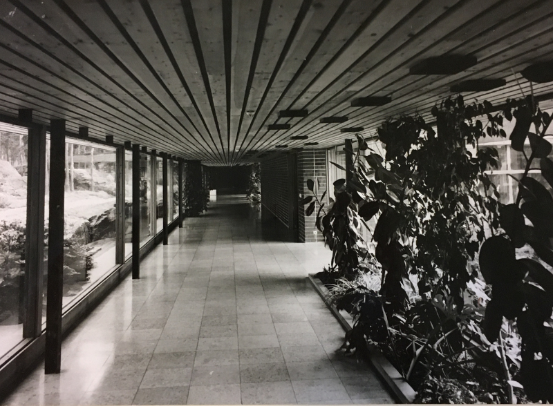 Kirkas, moderni sisäkäytävä, jossa on sälekatto, laattalattia, lasiseinät ja rivi sisäkasveja.