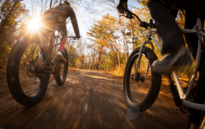 Kaksi pyöräilijää ajaa paksurenkaisilla pyörillä auringon valaisemaa syksyistä metsäpolkua pitkin matalasta kuvakulmasta kuvattuna.