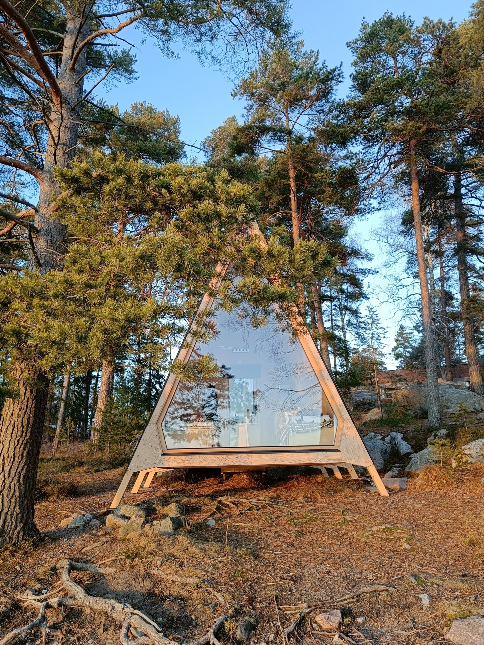 A triangular A-frame cabin with a glass front, nestled in a pine forest at sunset.