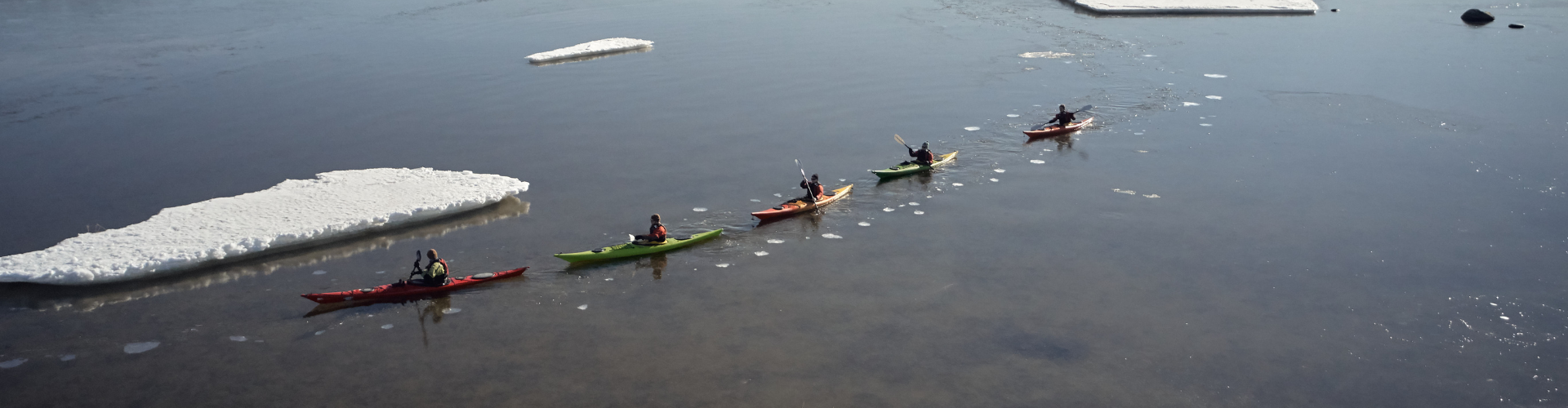 Viisi kajakkimelojaa meloo linjassa tyynessä, tummassa vedessä lähellä hajanaisia ​​jäälaikkuja.