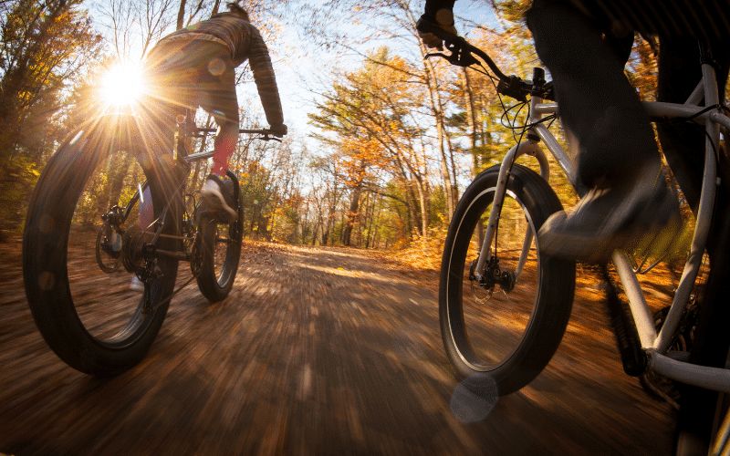 Kaksi ihmistä ajaa paksurenkaisilla polkupyörillä metsäistä polkua pitkin, joka kylpee kultaisessa, linssiä heijastavassa auringonvalossa.